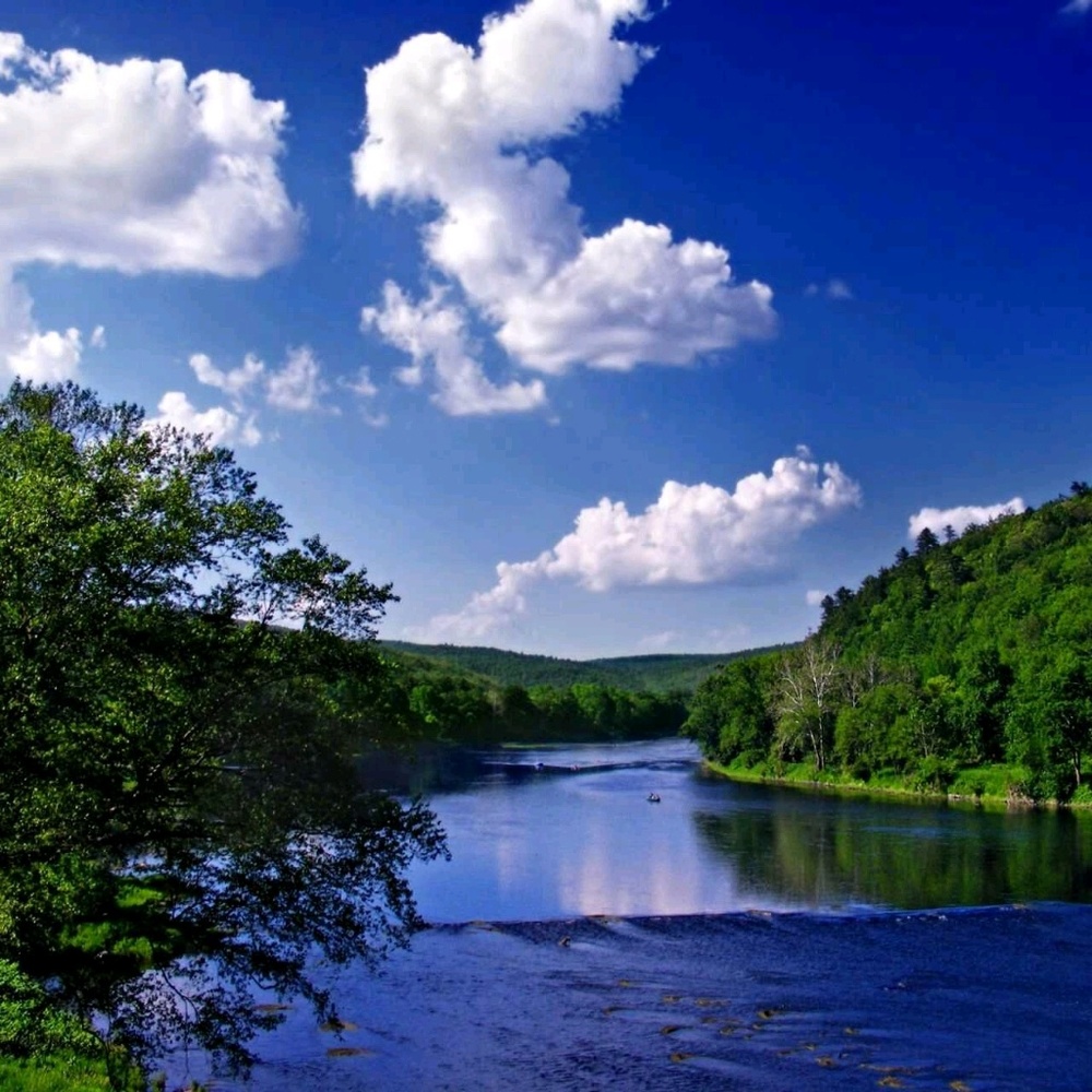 Meet your Posher, Lynn